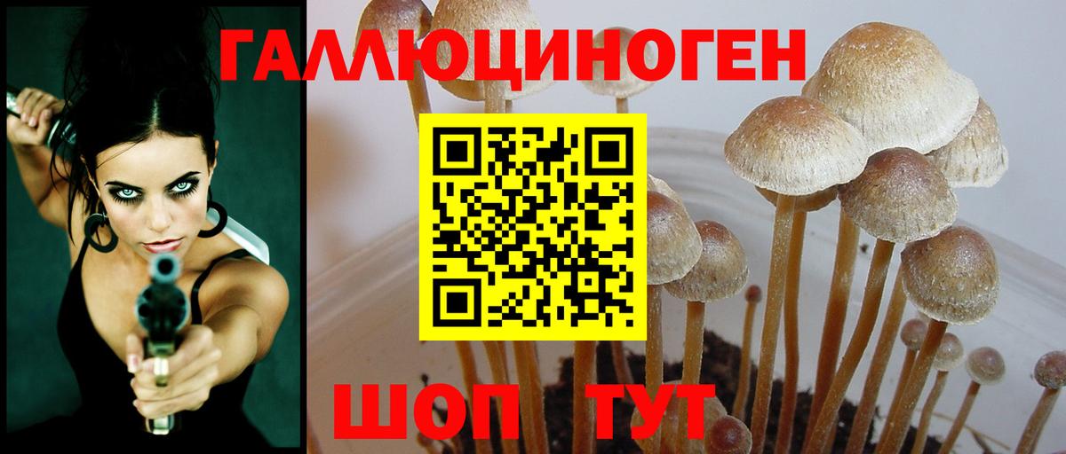 Галлюциногенные грибы мухоморы Ртищево